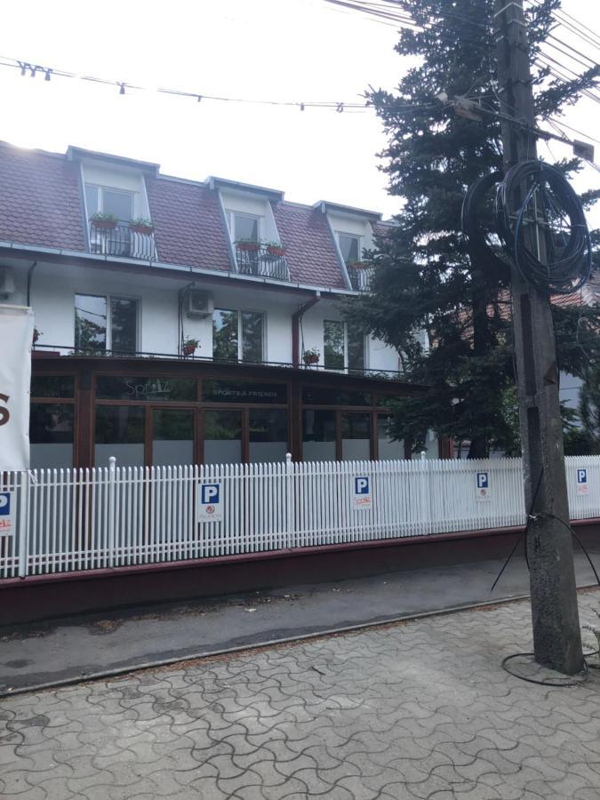 Villa Rosa Тімішоара Екстер'єр фото